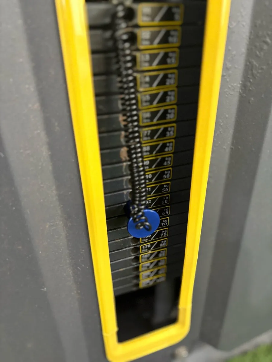Chest Flye / Rear Delt Machine - Image 4