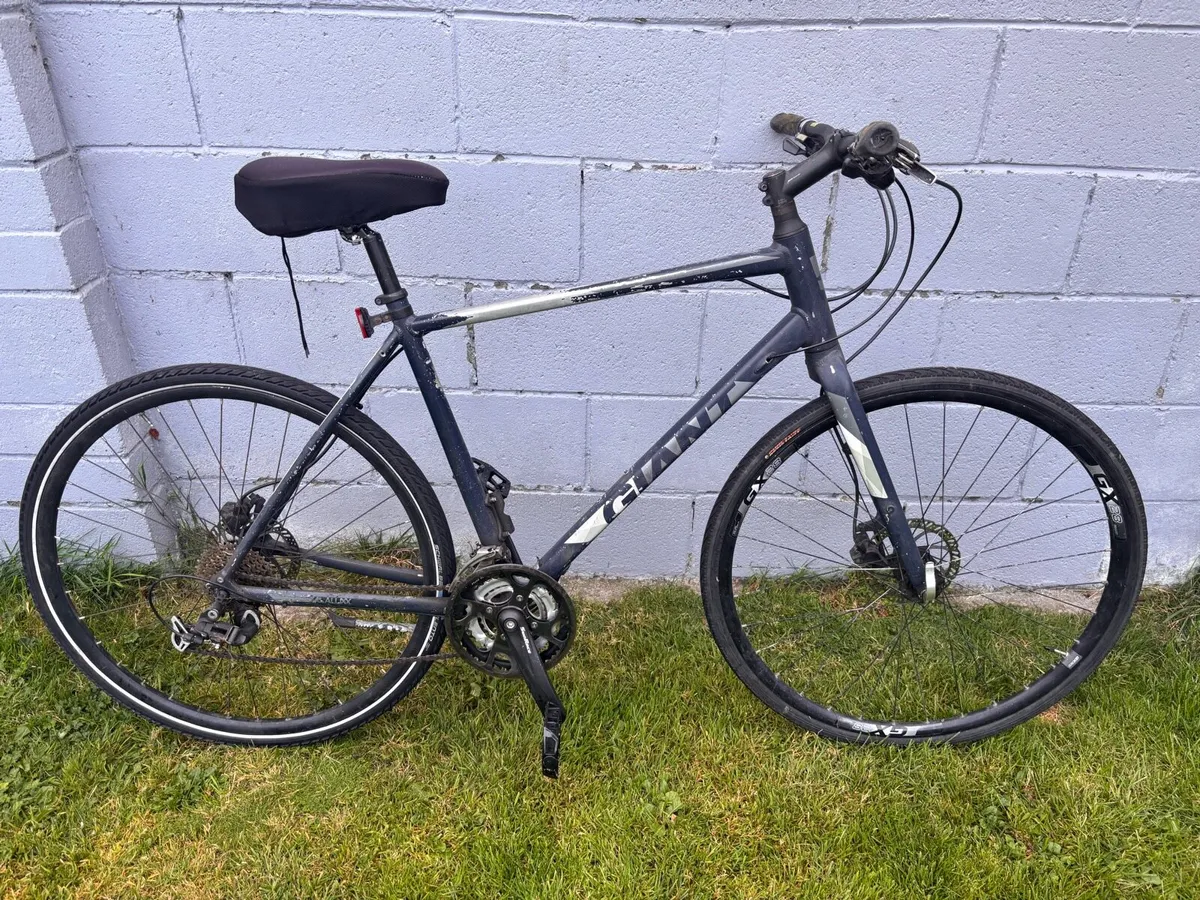 Adult Size Bike - Image 1