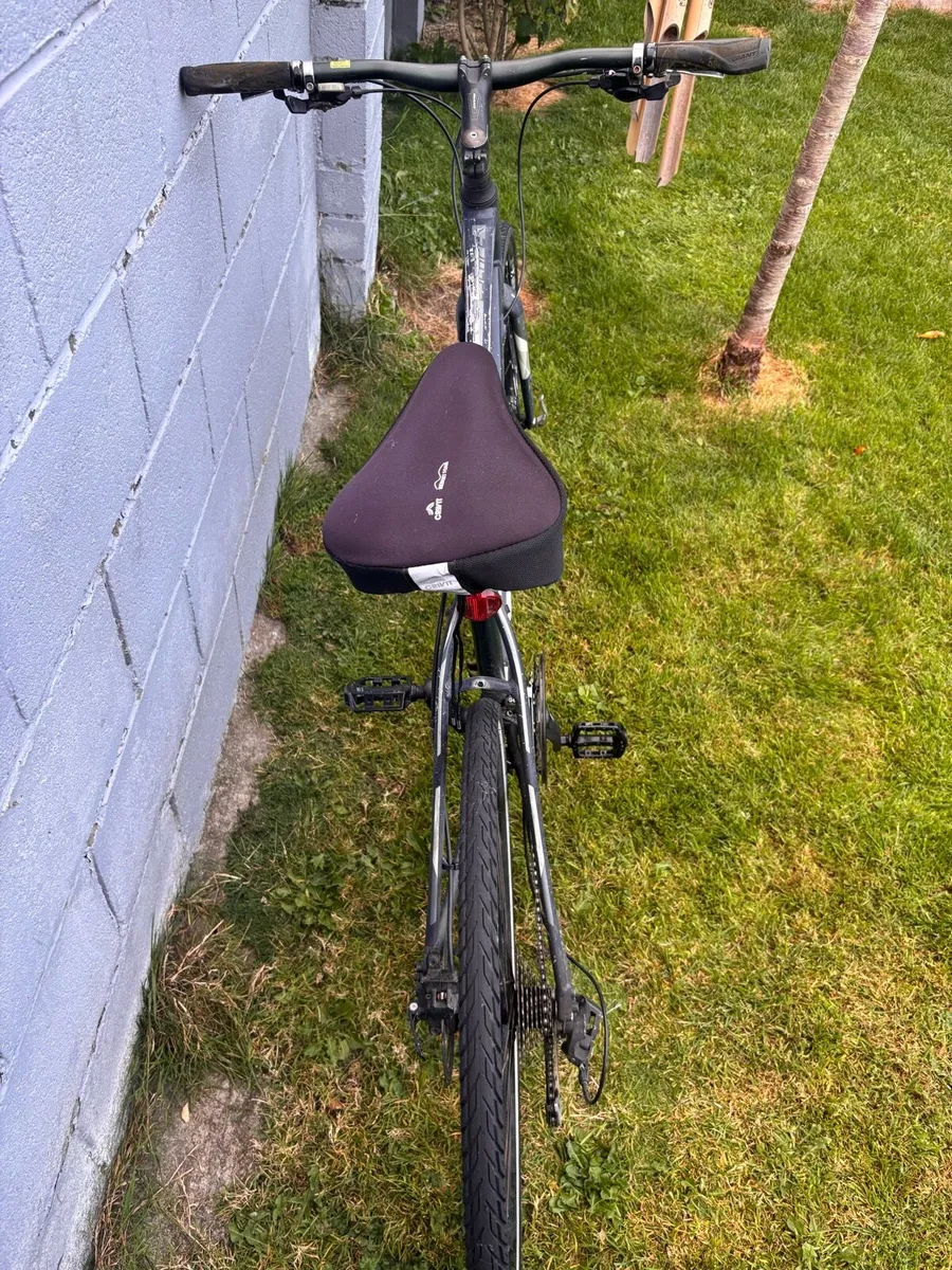 Adult Size Bike - Image 3