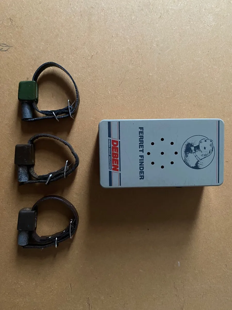 Ferret Finder - Image 1