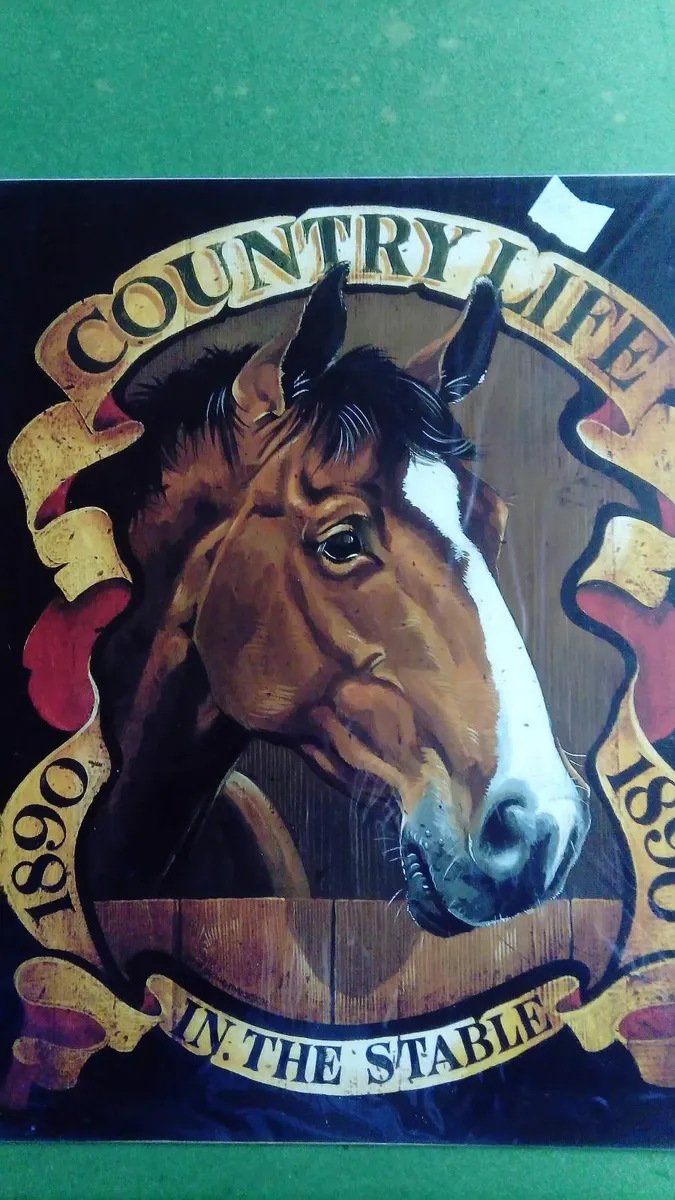 Unframed horse prints new - Image 1