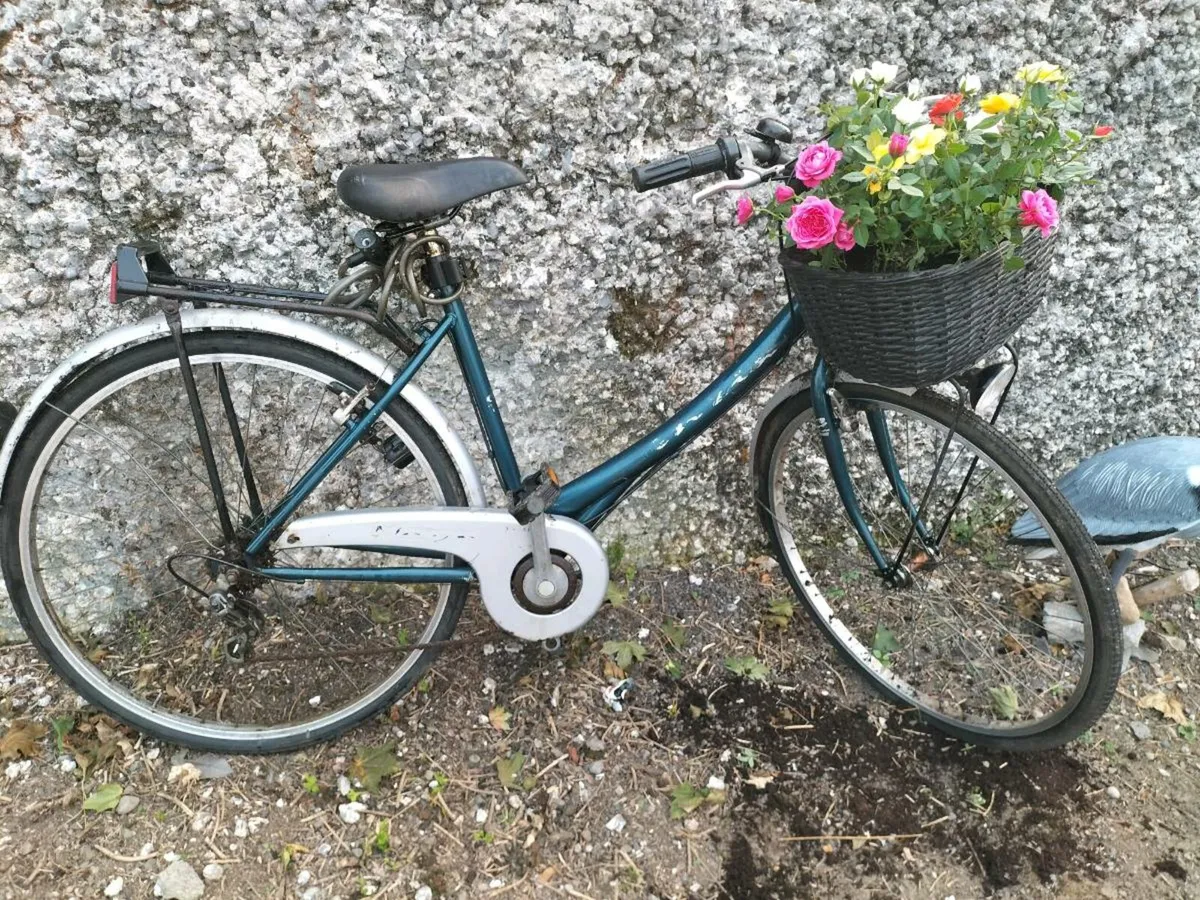 High Nellie bike - Image 1