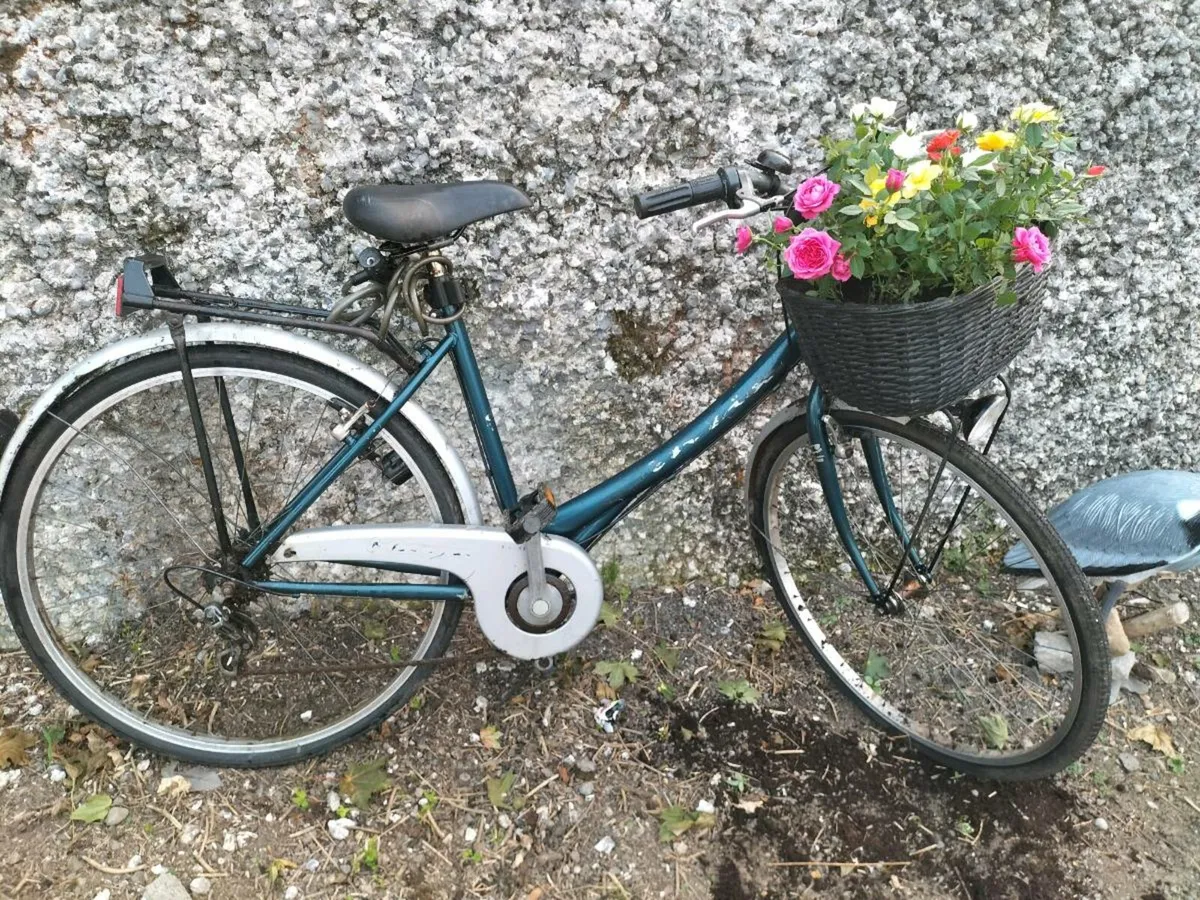 High Nellie bike - Image 2