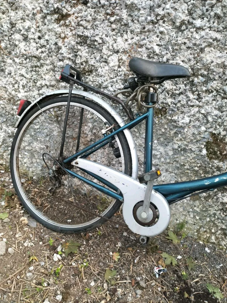 High Nellie bike - Image 3