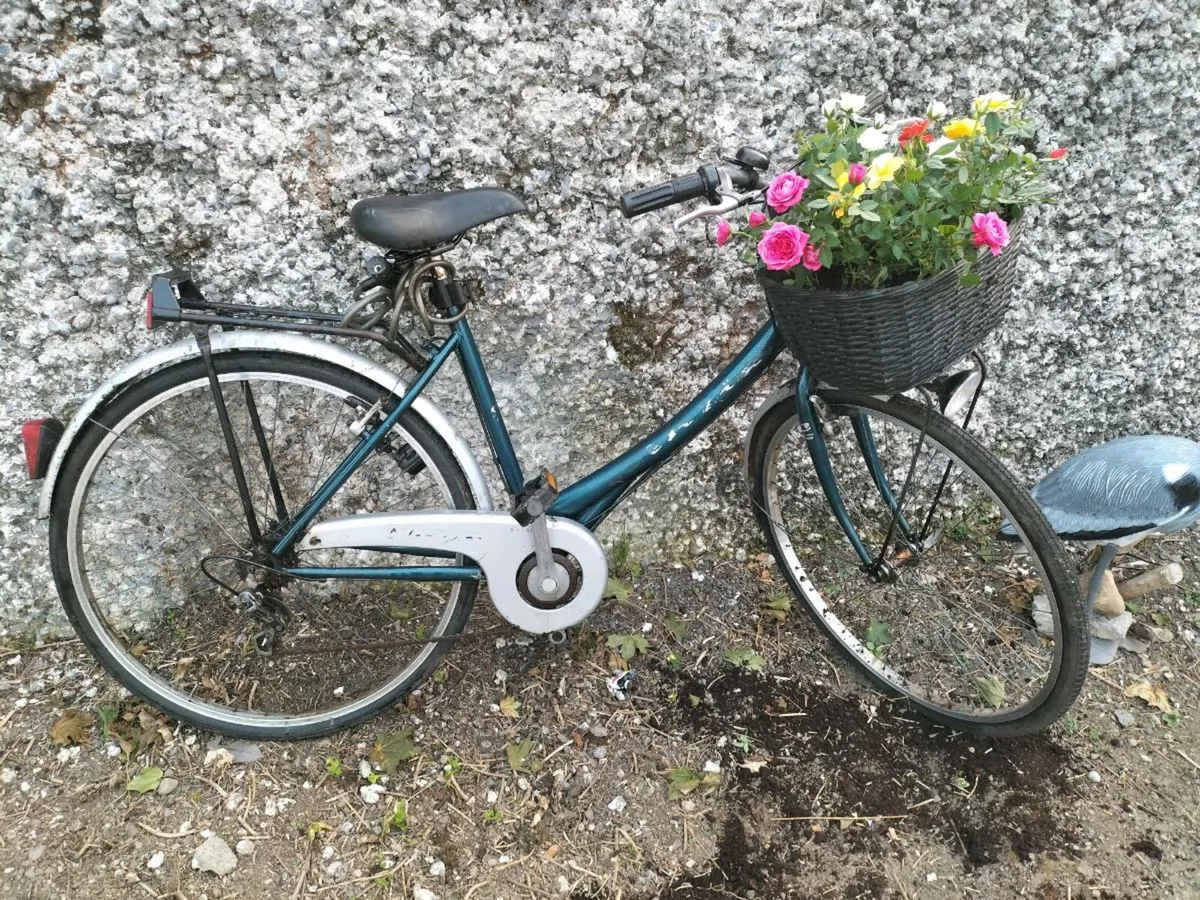 High Nellie bike - Image 4