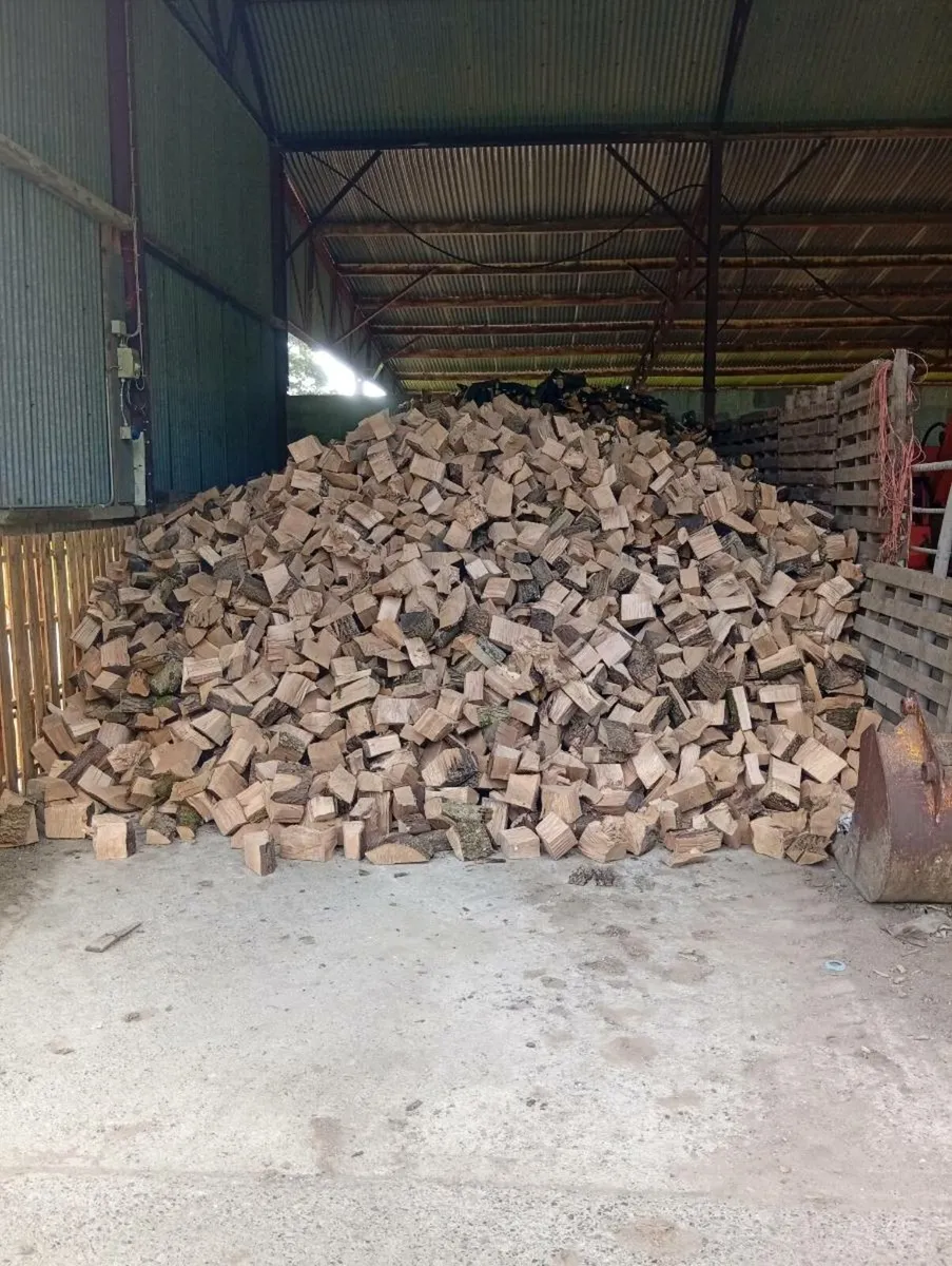 Firewood - Image 1