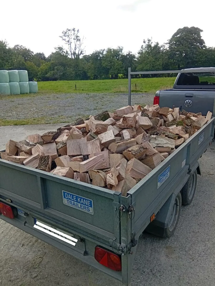 Firewood - Image 2