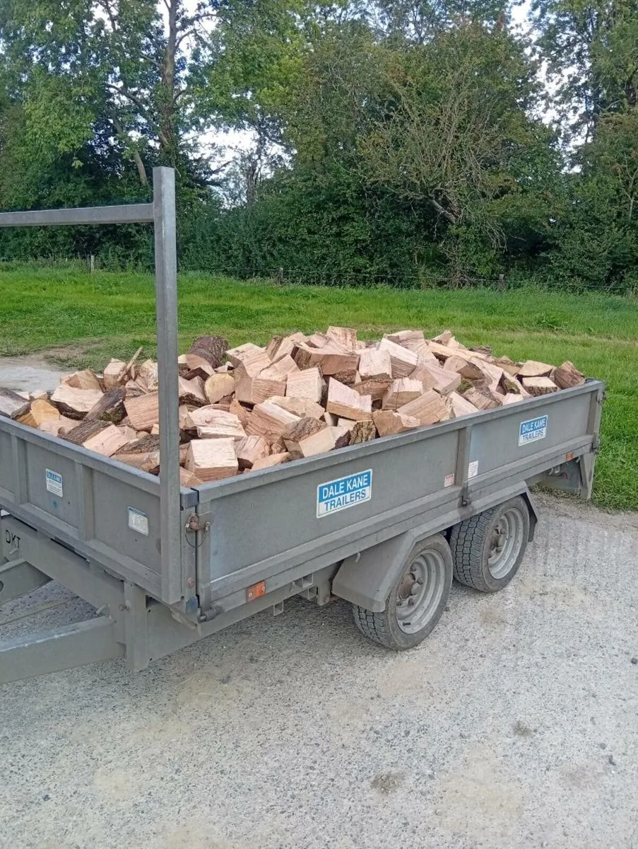 Firewood - Image 3