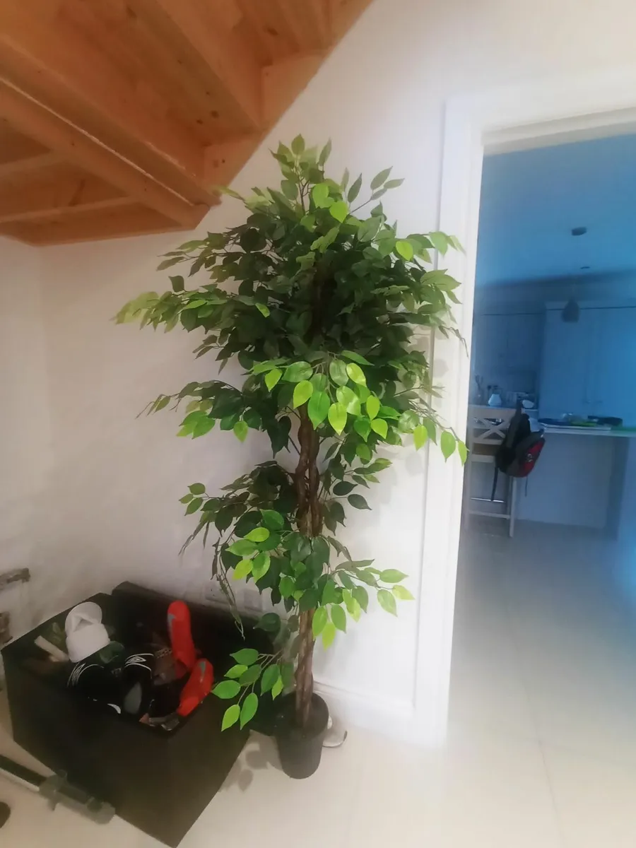 Artificial trees x 2 - Image 1