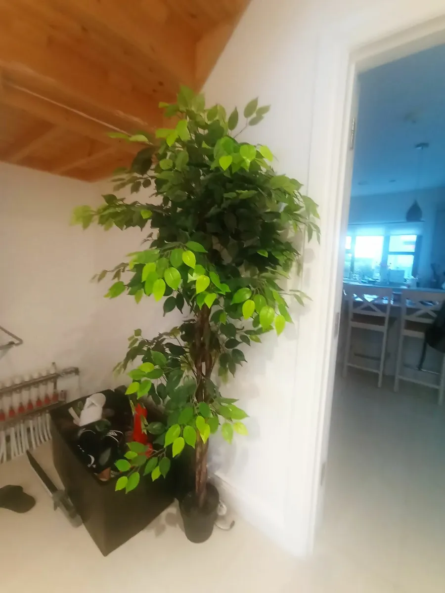 Artificial trees x 2 - Image 3