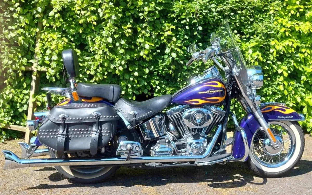 HARLEY DAVIDSON Heritage Softtail Classic 2014 - Image 1