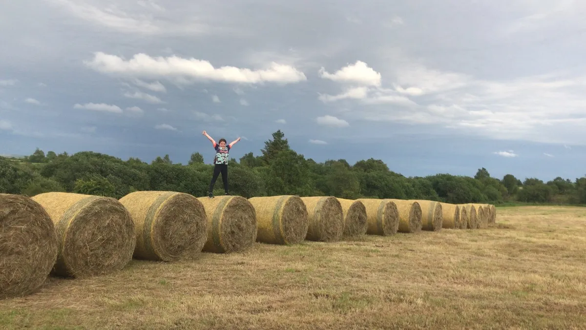Round bales of hay €25 - Image 1