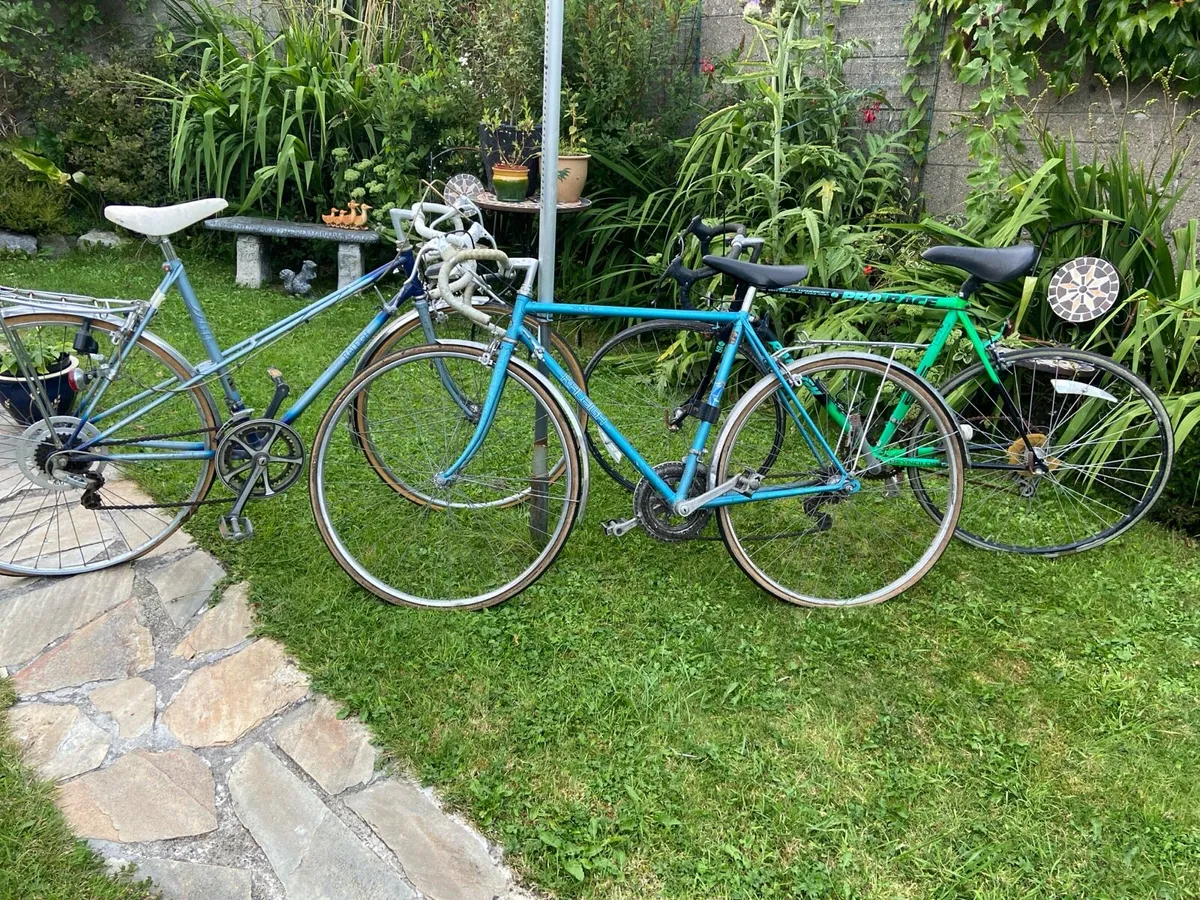 Vintage.  Raleigh. Bikes.