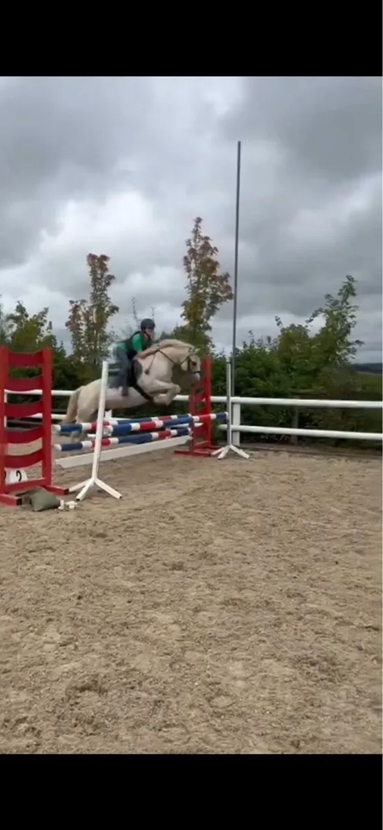 Pony - Image 1