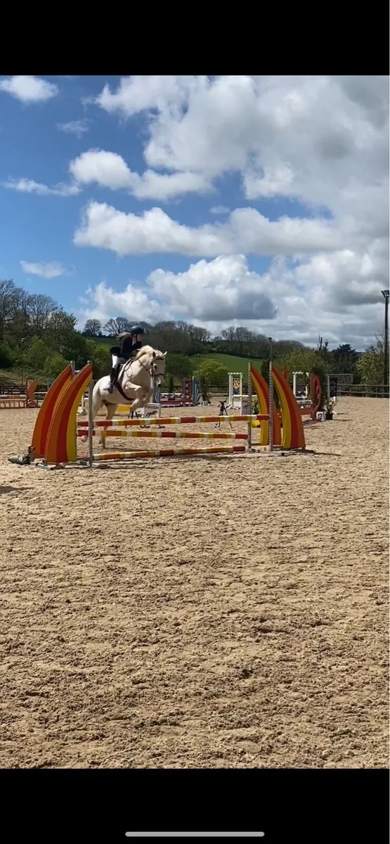 Pony - Image 4