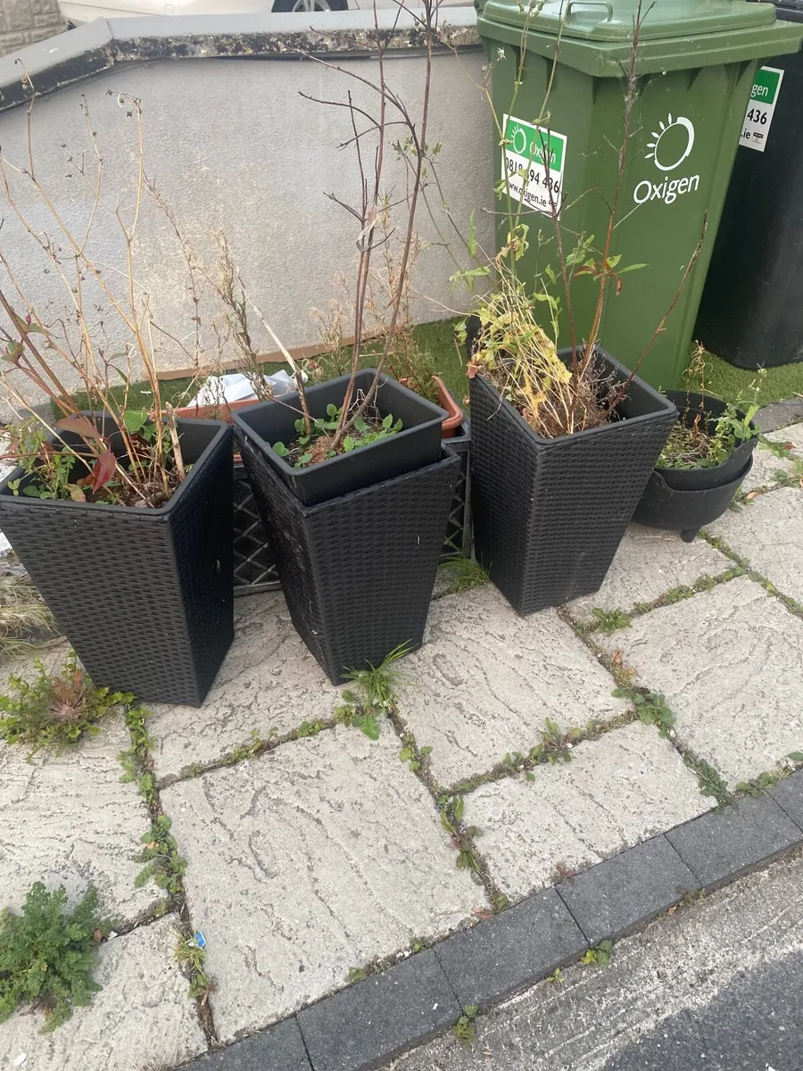 Plant pots - Image 1
