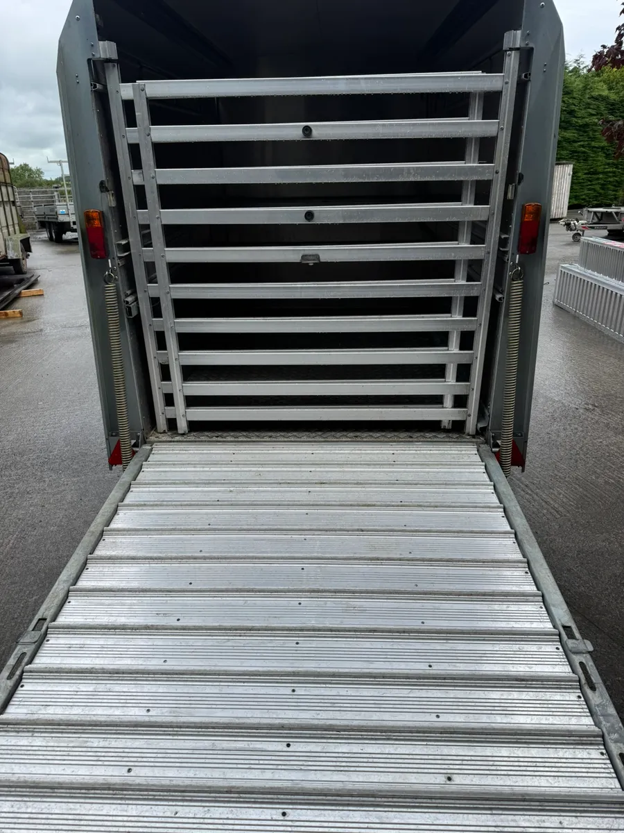 Ifor Williams livestock trailer - Image 2
