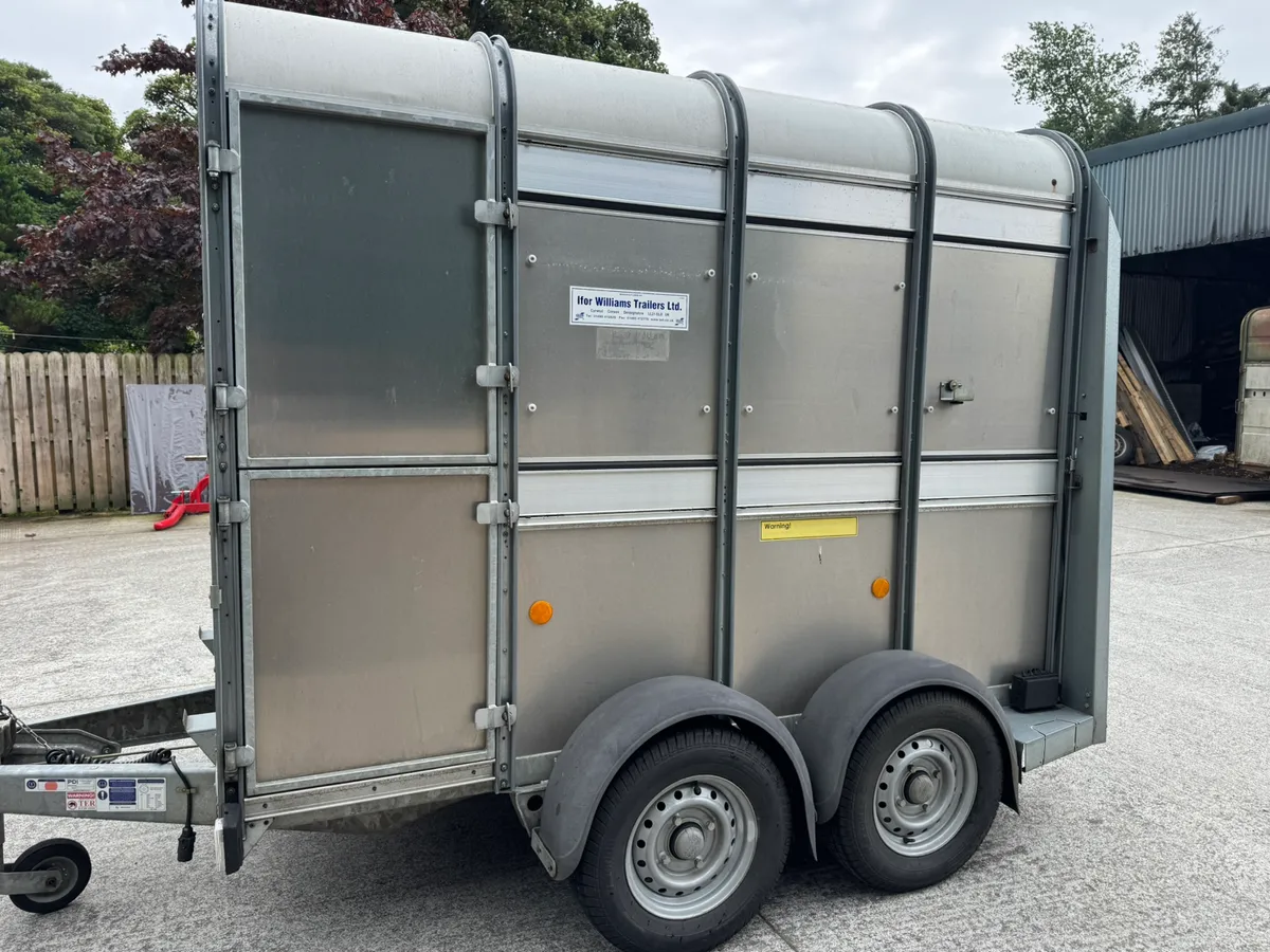 Ifor Williams livestock trailer - Image 4