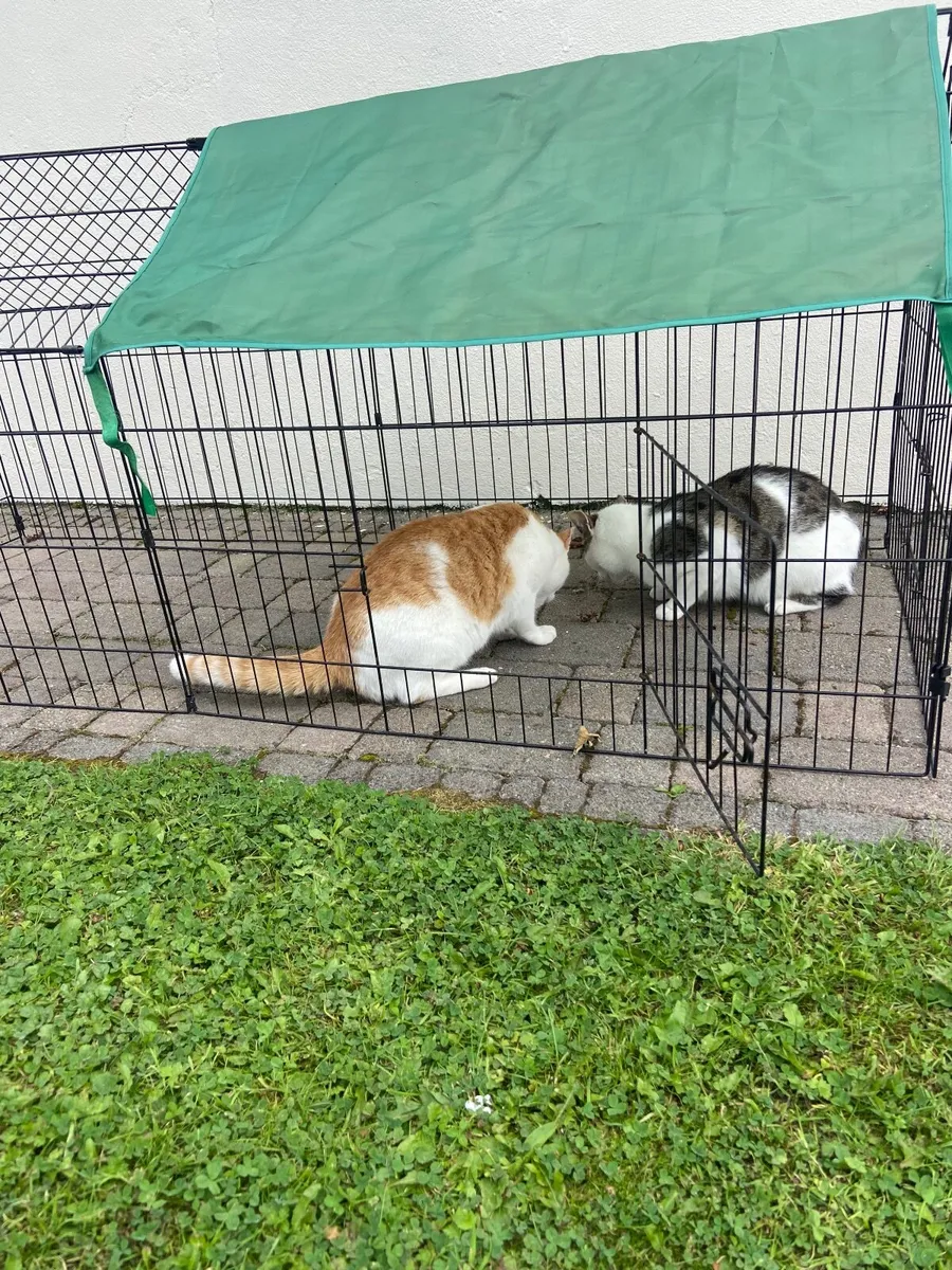 Cage suitable for cats, dogs, rabbits, chickens - Image 2