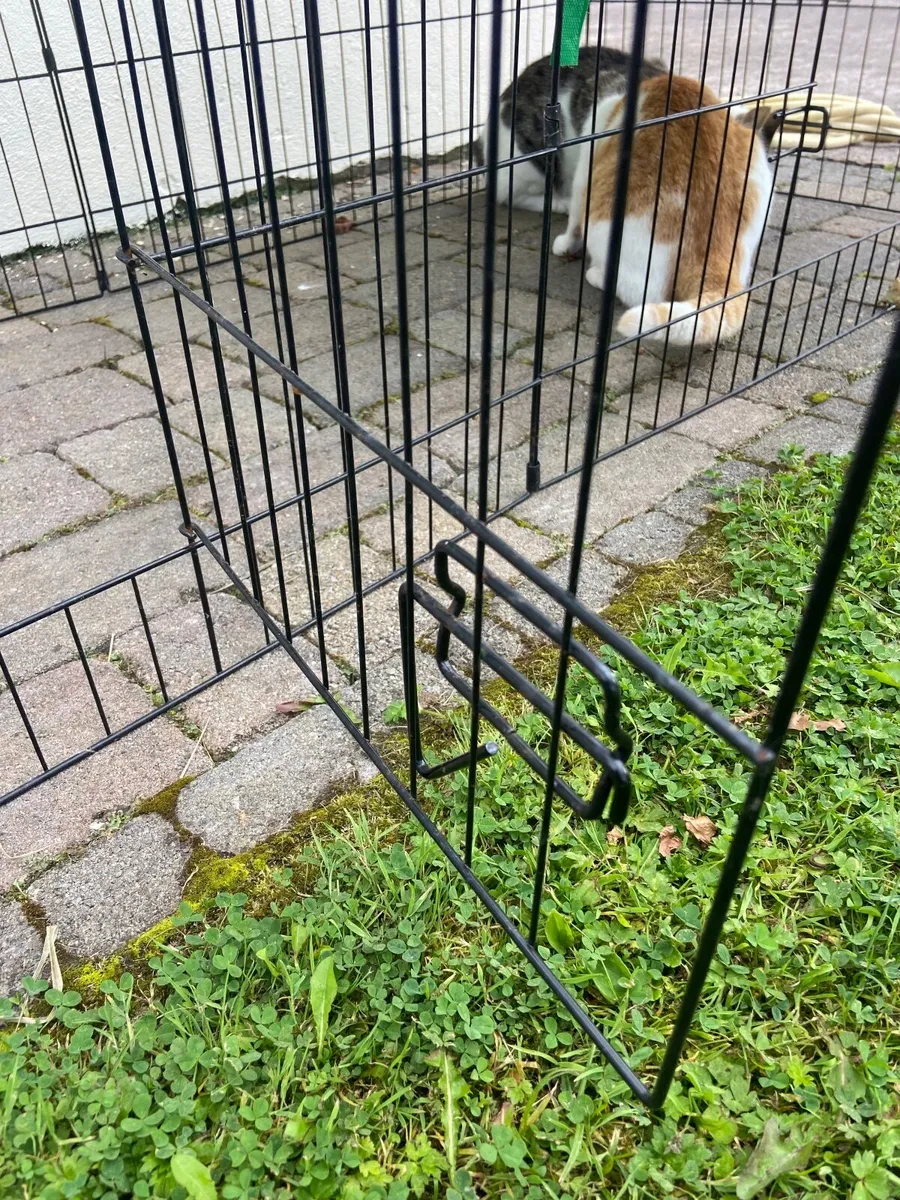 Cage suitable for cats, dogs, rabbits, chickens - Image 3
