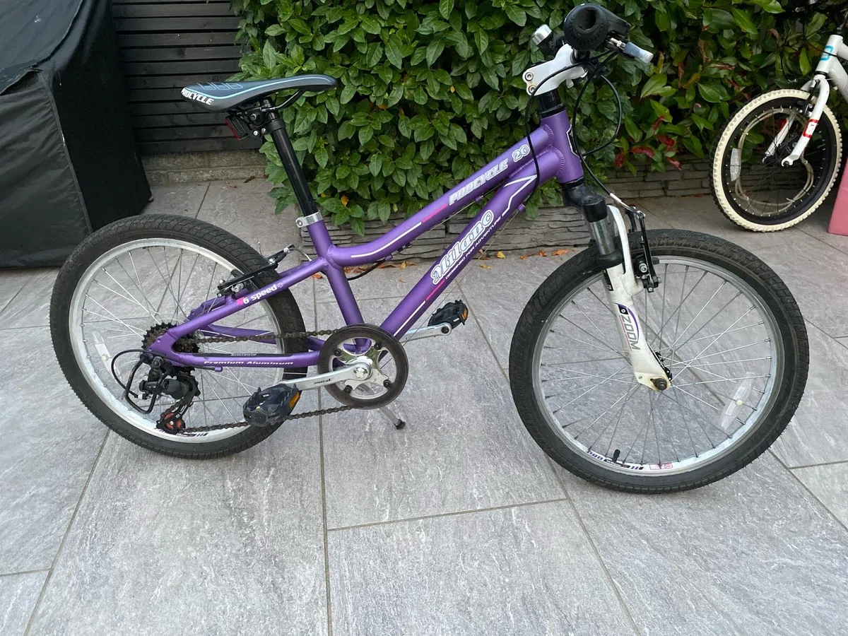 Milano Procycle 20 inch bike - Image 1