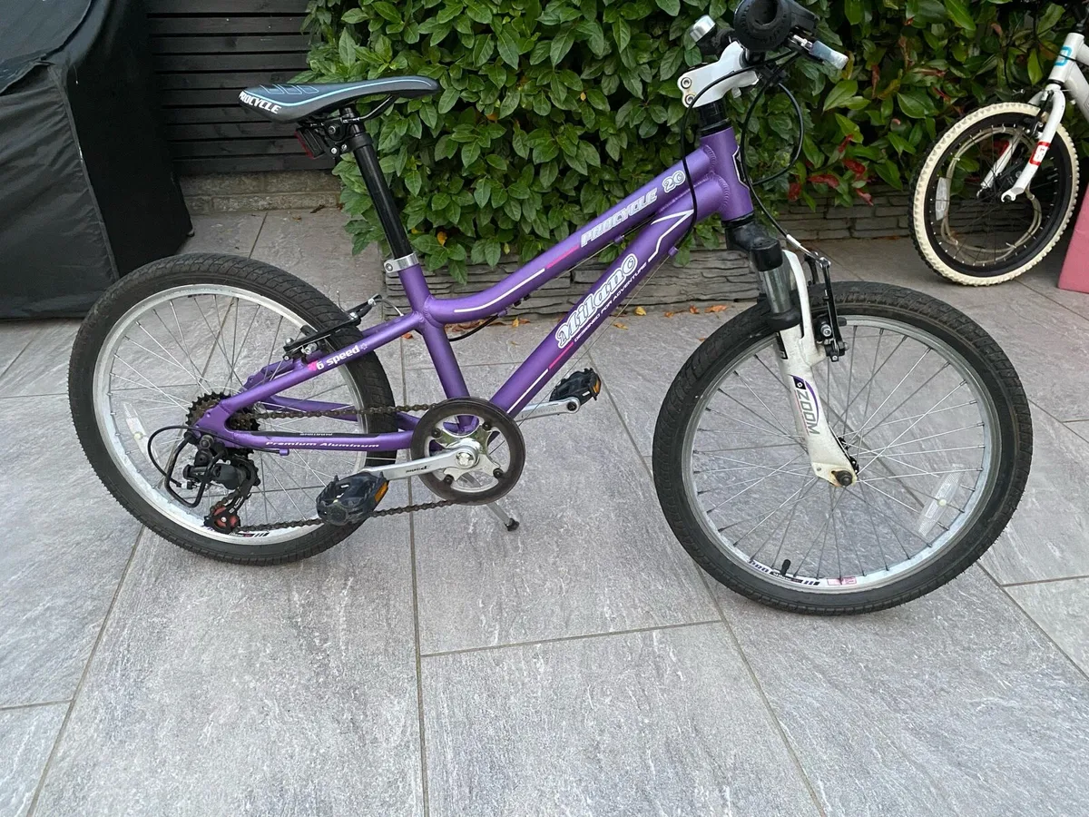 Milano Procycle 20 inch bike - Image 2