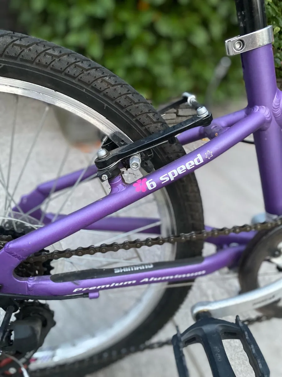Milano Procycle 20 inch bike - Image 3