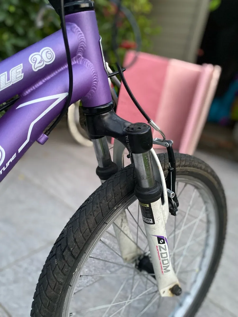 Milano Procycle 20 inch bike - Image 4