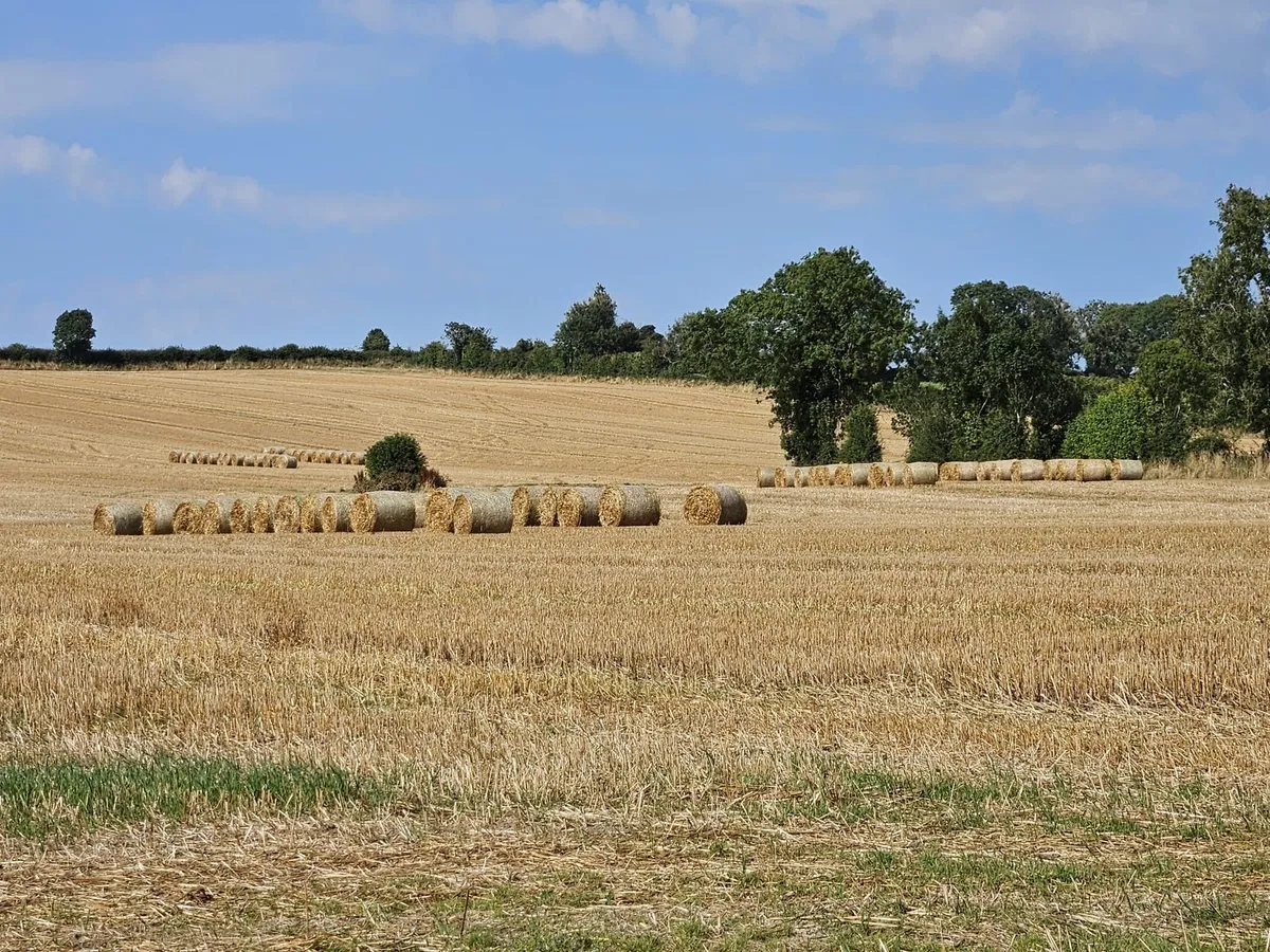 Barley + Oat Straw - Image 1
