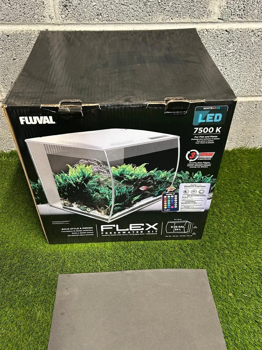 Fluval Fish Tank - Image 4