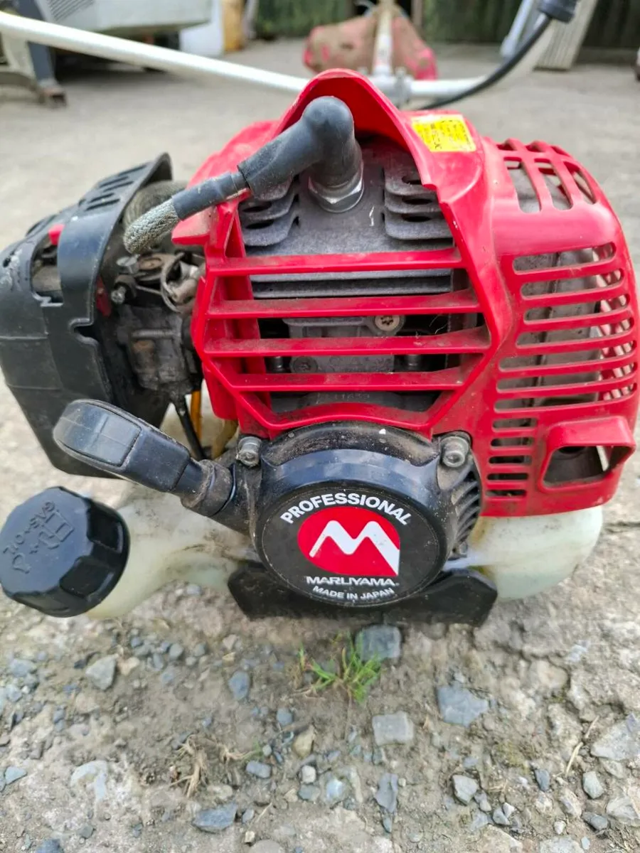 Strimmer - Image 1
