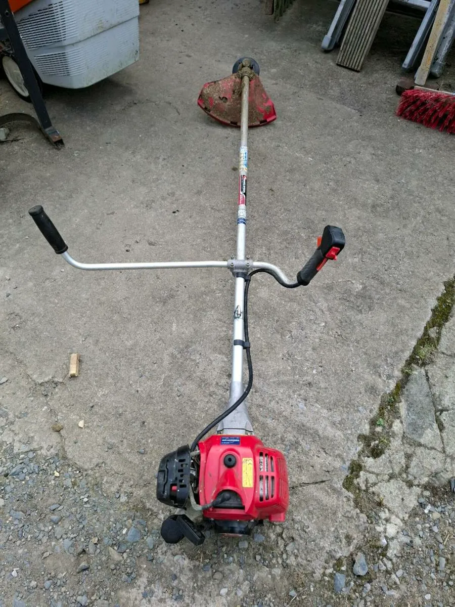 Strimmer - Image 2