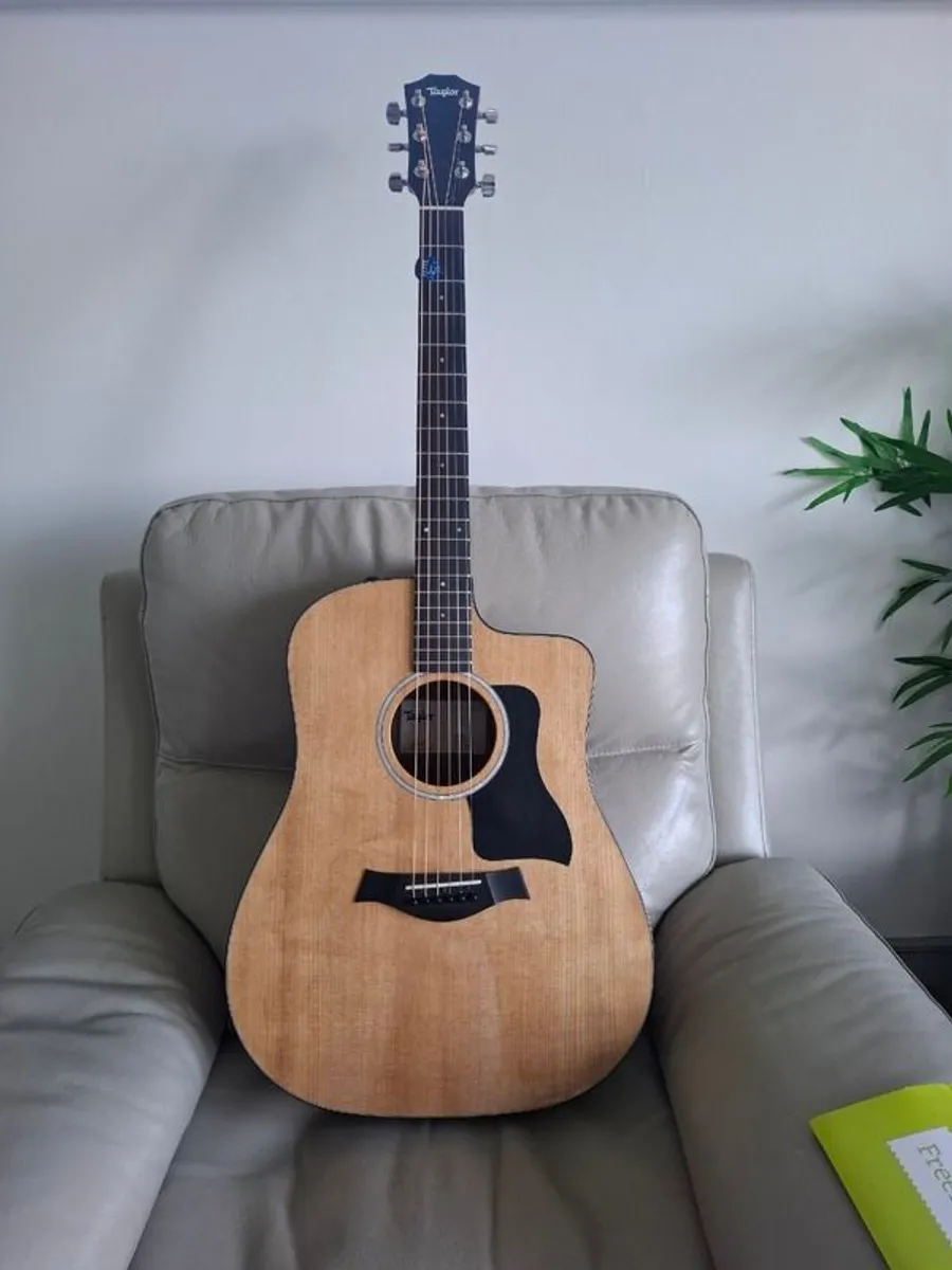 Taylor 210ce Plus - Image 1