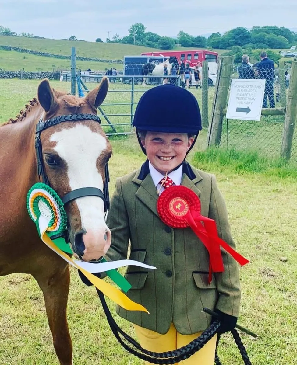 Child’s Pony - Image 1