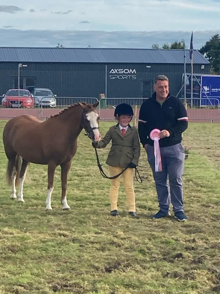 Child’s Pony - Image 2
