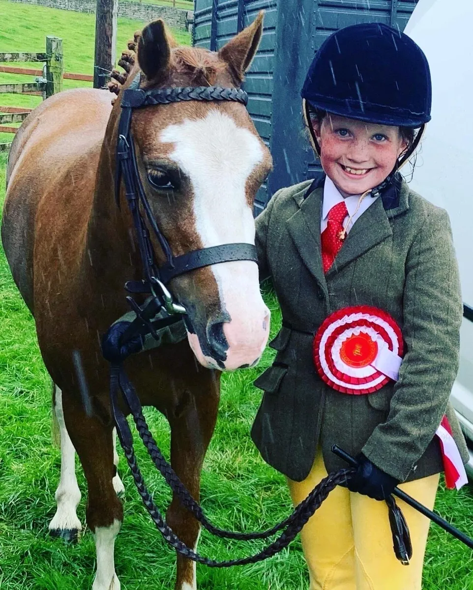 Child’s Pony - Image 4