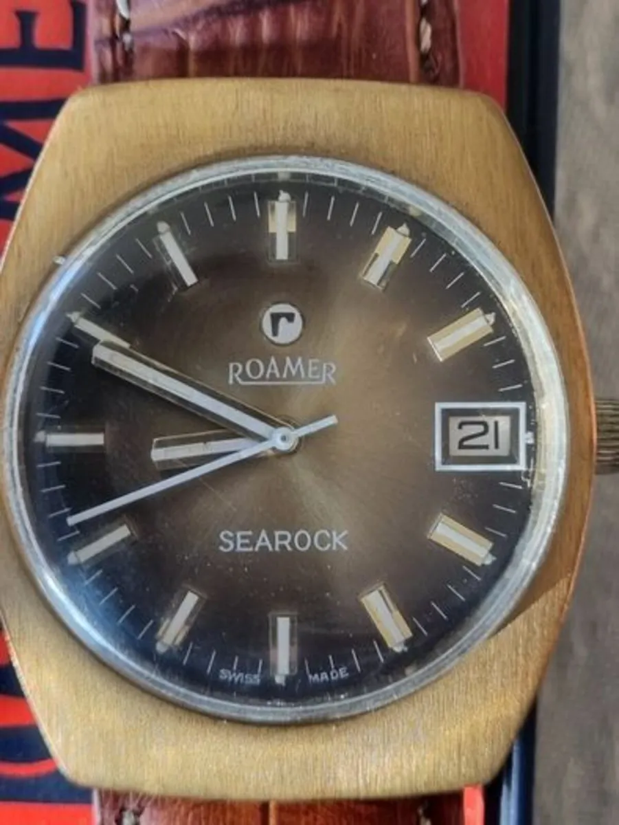 Vintage Roamer SeaRock - Image 3