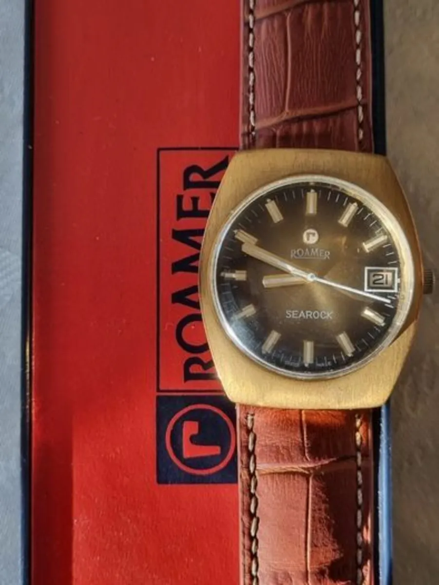 Vintage Roamer SeaRock - Image 4
