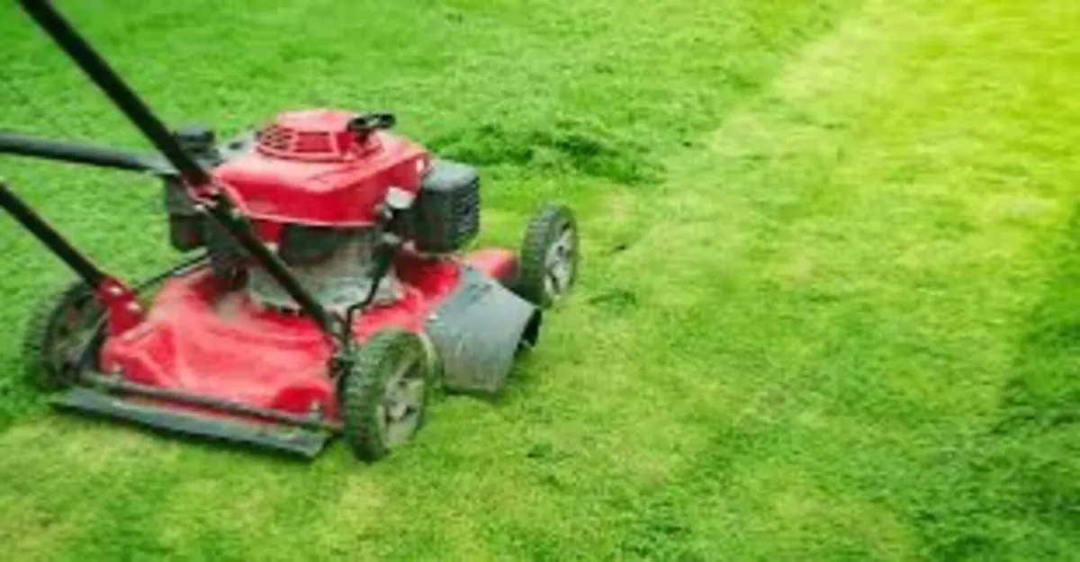 Anyone wants there grass cut in Longford inbox me - Image 1