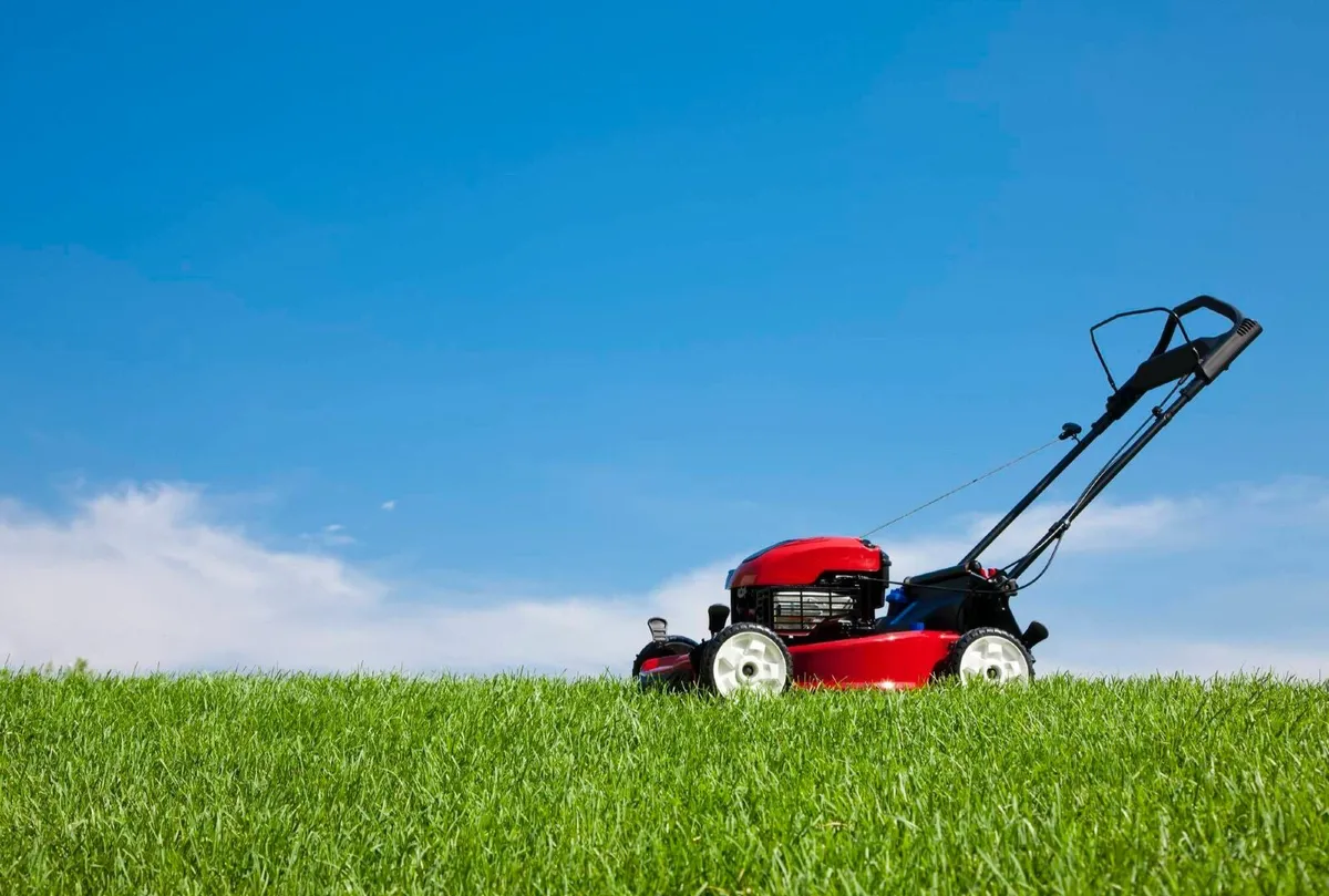 Anyone wants there grass cut in Longford inbox me - Image 2