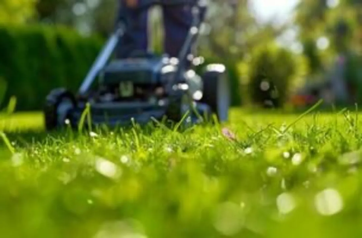 Anyone wants there grass cut in Longford inbox me - Image 3