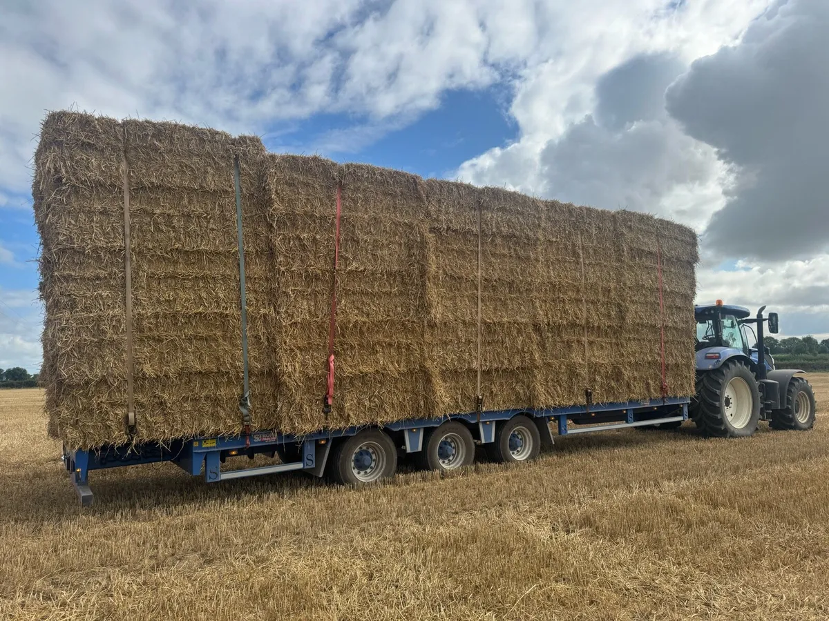 CHOPPED BARLEY & WHEATIN STRAW