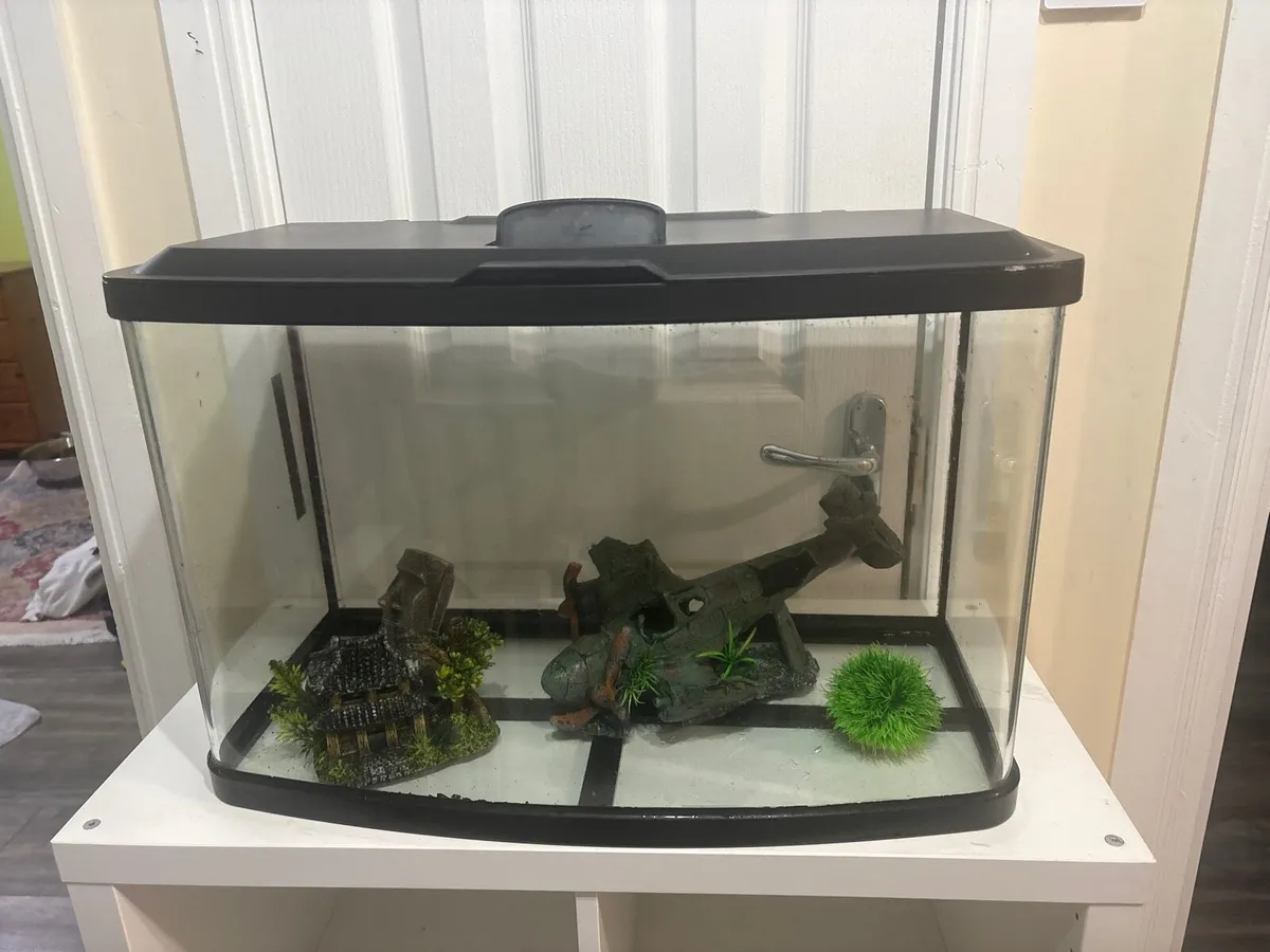 60L fish tank - Image 1