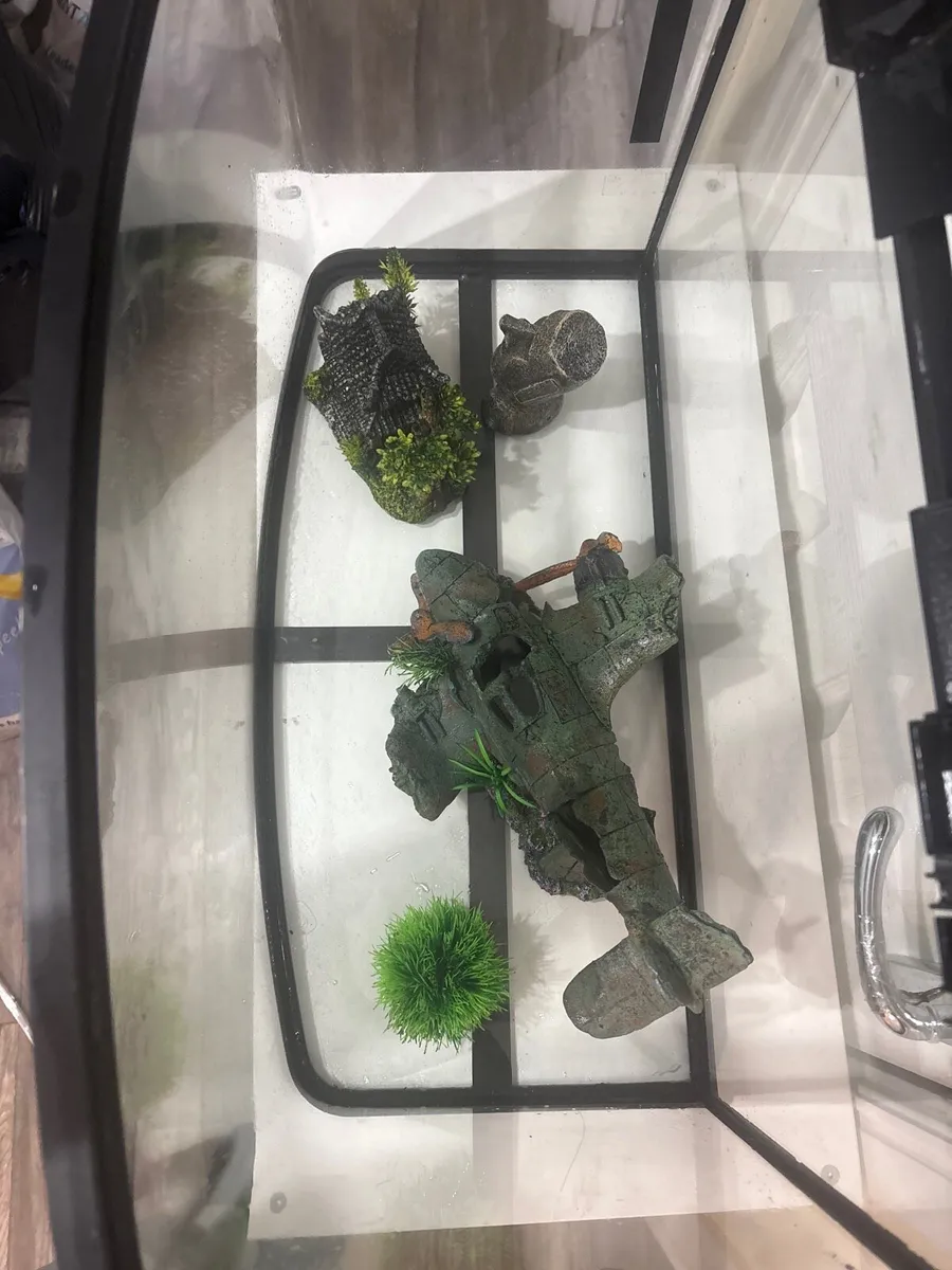 60L fish tank - Image 3