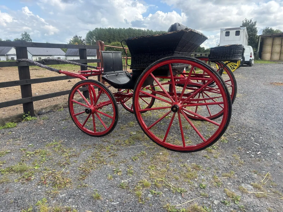 Carriages - Image 1