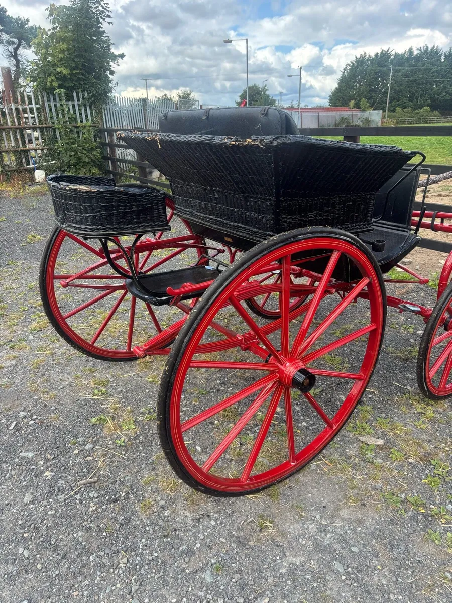 Carriages - Image 2