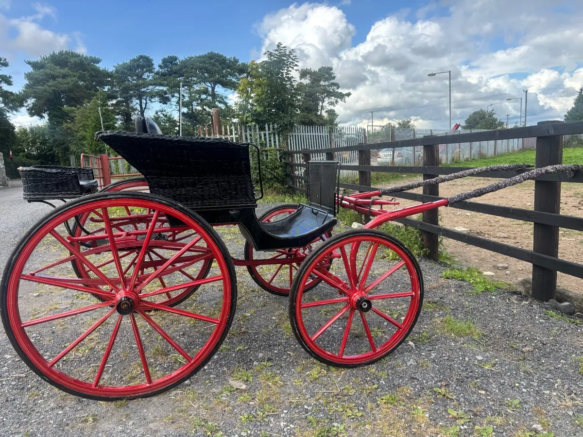Carriages - Image 3