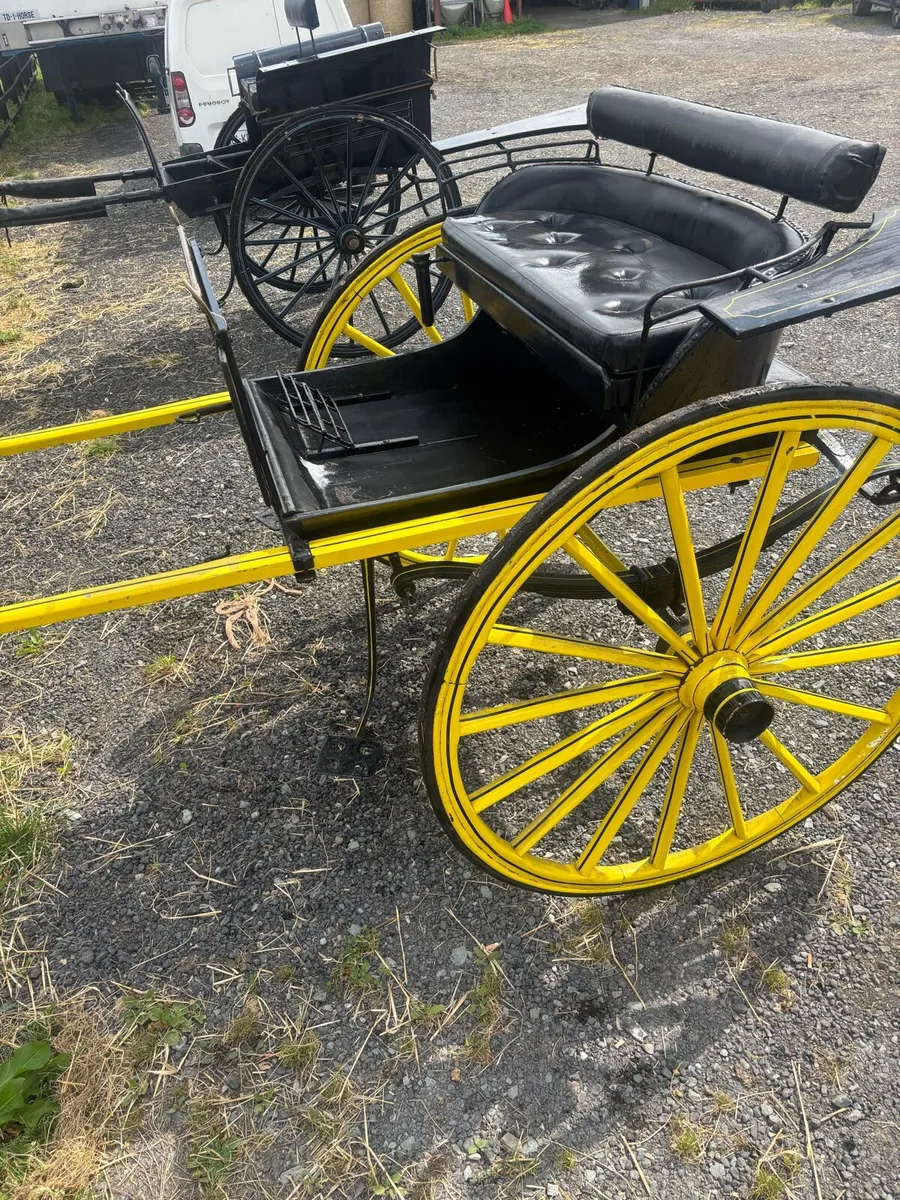 Carriages - Image 4