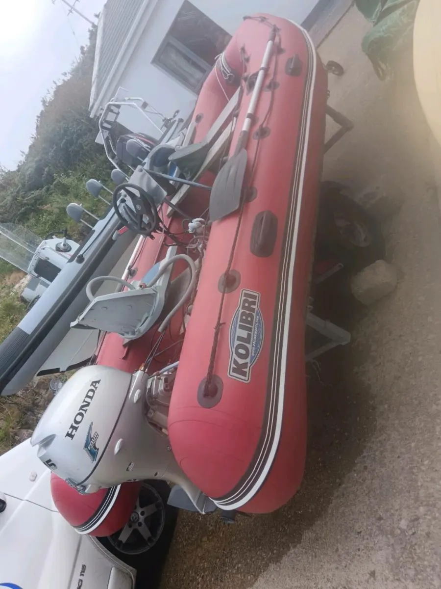 Rib for sale - Image 1