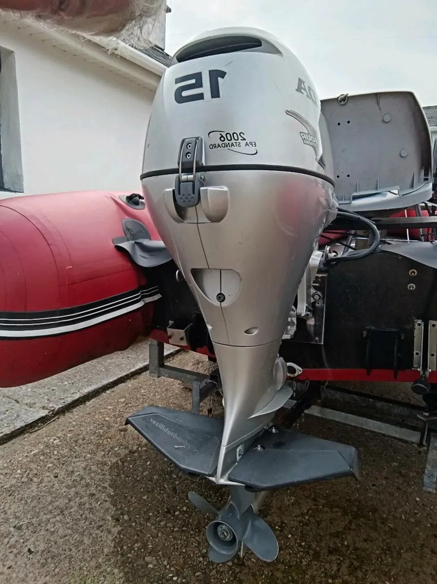 Rib for sale - Image 2